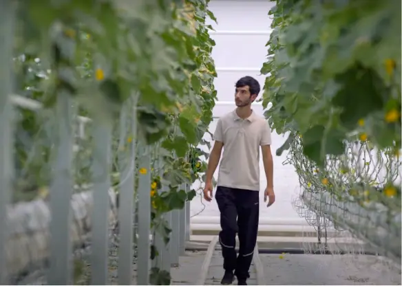 Rafi Aharonyan Story